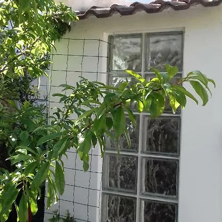 Casa De Ferias Em Algueirao Prázdninový dům