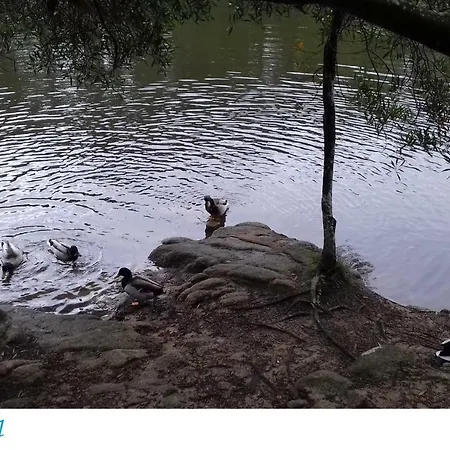 Prázdninový dům Casa De Ferias Em Algueirao *